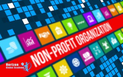 The Challenges of Nonprofit Organizations: SOFT Model