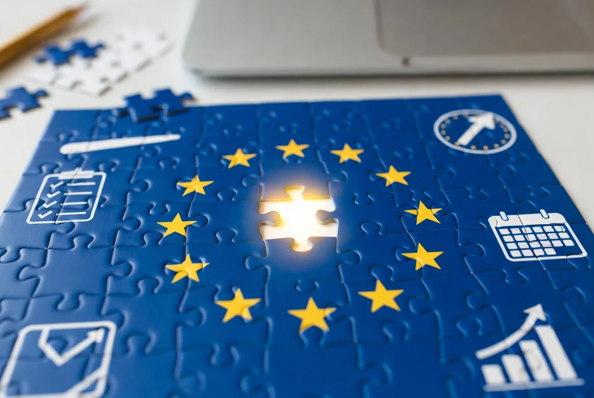 THE EU PUZZLE PROJECT CONSULTANCY